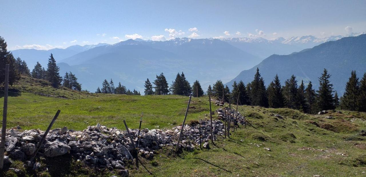 Ferienwohnungen Hochzillertal Калтенбах Екстериор снимка