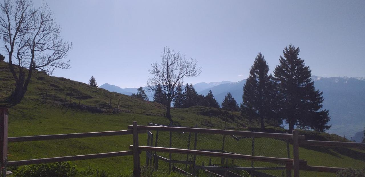 Ferienwohnungen Hochzillertal Калтенбах Екстериор снимка